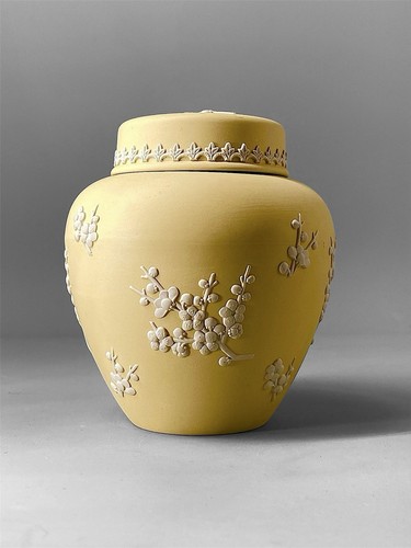 Wedgwood primrose yellow - wedgwood,