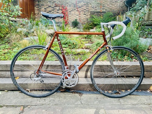 Wilier ramato vintage - wilier, road