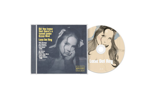 Lana del rey did you - did,