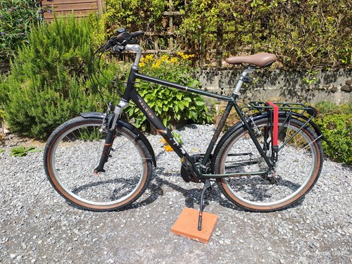Raleigh pioneer trail - pioneer, xl
