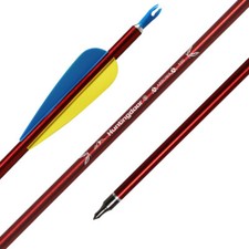 30" Aluminium Arrows Spine 550