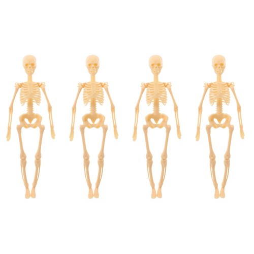 4pcs human skeleton - 4pcs, model