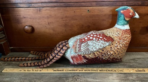 Large ring necked pheasant - large, ring-necked