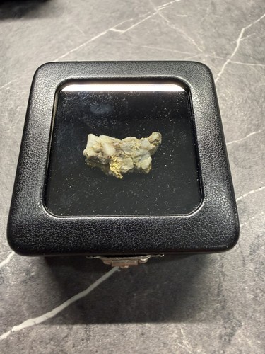 42g gold quartz specimen - in,