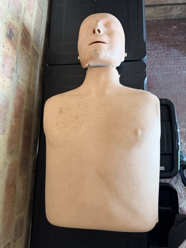 Adult cpr manikin - cpr,