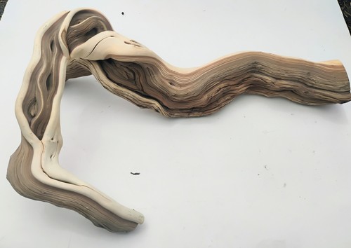 Colorful manzanita driftwood - manzanita,