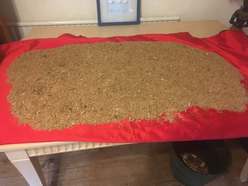 Oak sawdust coarse - kg,
