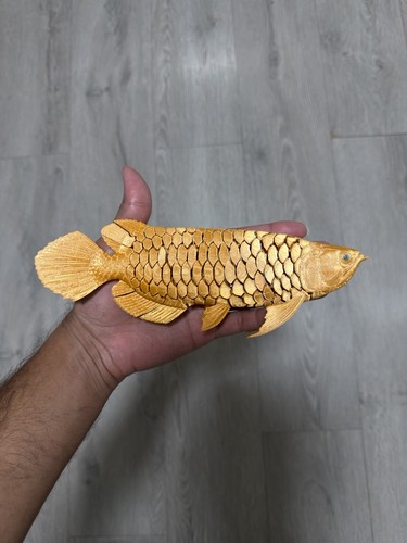 Arowana fish printed - fish, 3d