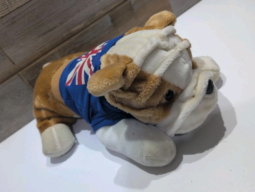 British bulldog lying - british, soft