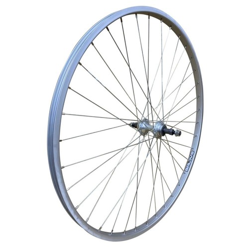 Baldys 4 rear bike - rear,