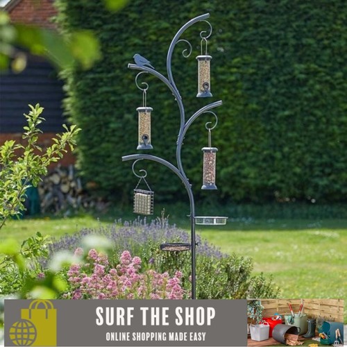 Smart garden wild wings bird - wild,