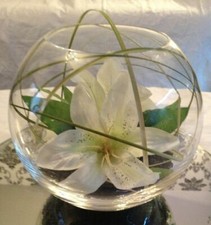 20CM/8INCHES AMAZING  FISH