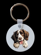 Peeking Peeping English