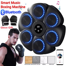 Smart Punching Boxing