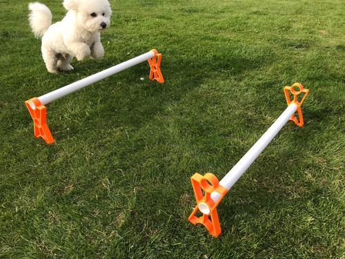 Set dog agility - set, jumps