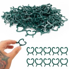 Tomato & Climbing Plant