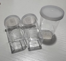 Tarantula Spider Spiderling