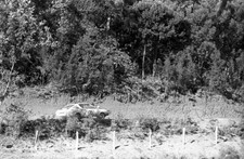 Jean Francois Piot Jean De Alexandris Renault 17 Gordini Safari Ra- Old Photo 5