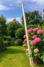 Wooden Extendable Washing Line