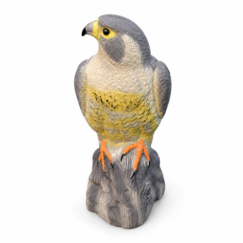 Hawk decoy bird scarer pest - bird,