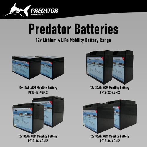 12v 45 lithium 4 - 12v,