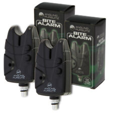 Carp Fishing Angling Pursuits