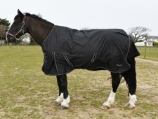 Rhinegold Capri 100gsm Horse Turnout Rug, 600d, Black,