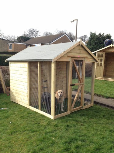 Dog kennel and run - kennel,