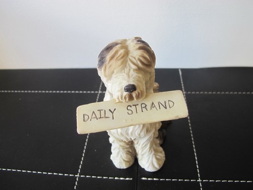 Old english sheepdog - old,