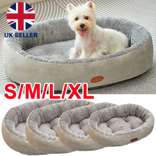 Pet dog bed cat - dog,