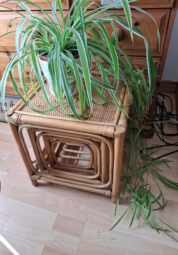 Vintage retro bamboo rattan - vintage,