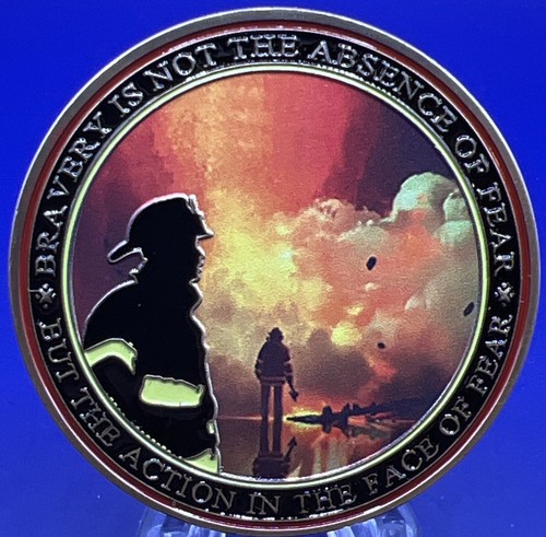 Firefighter challenge coin - *,