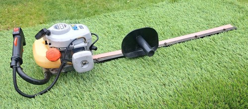 Echo 2400 hedge - echo,
