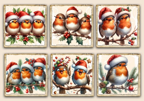 Christmas robin bird - robin, card