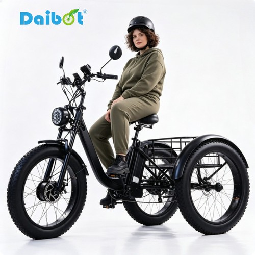 Daibot fat tire mobility - 24",