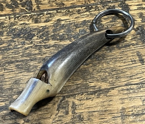 Antique buffalo horn - antique,