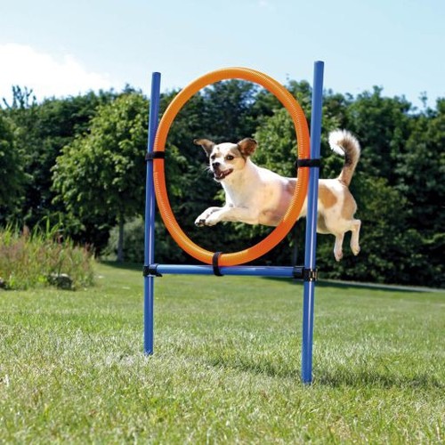 Trixie dog agility - trixie,