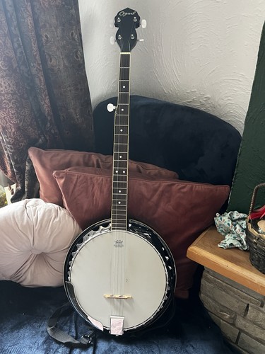 Ozark string resonator - 5, banjo