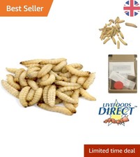 Fresh 1 Tub of 50 Waxworms -