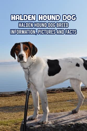 Halden hound dog - halden,