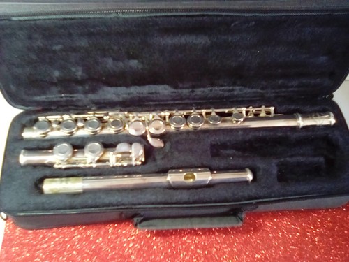 Vintage conservatoire student - vintage,