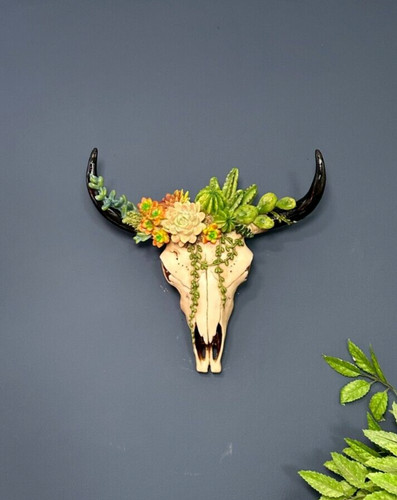Large faux goat skull - goat,
