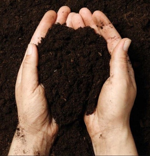 Multi purpose compost soil - soil, bag