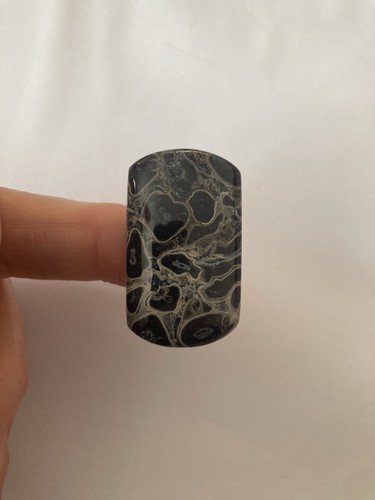 Petrified palm wood cabachon - wood,
