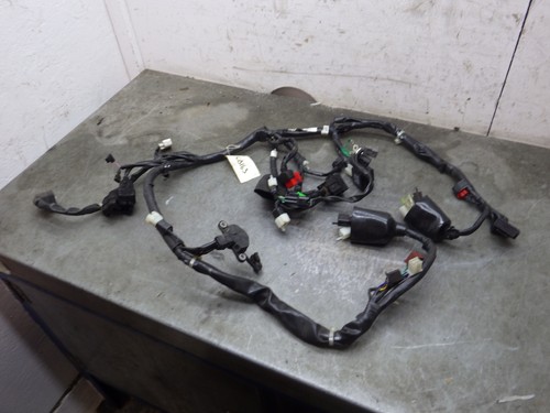 Honda cb125f wiring loom - honda,