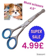 Professional Pet Grooming