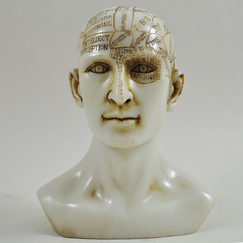 Phrenology head white marble - phrenology,