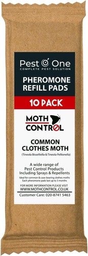 Carpet clothes moth trap - carpet,