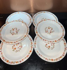 6 x Vintage Arcopal France