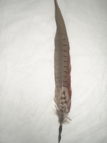 Rustic feather pheasant quill - feather,